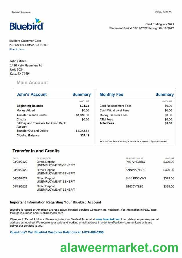 USA Bluebird bank statement